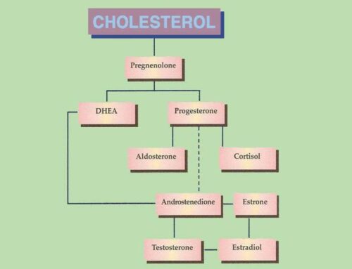 Steroid Hormones Part 1: Introduction, Cholesterol, Pregnenolone, and DHEA